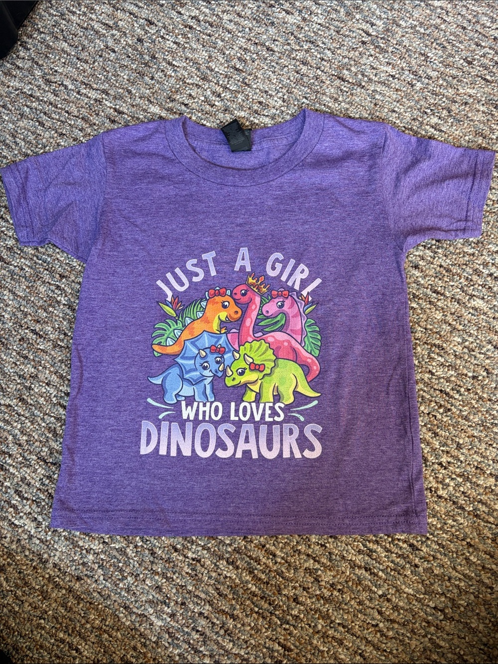 Gildan Purple Kids' Tee with Colorful Dinosaur Graphic